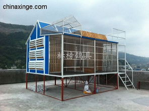 汕頭標榜鴿具廠